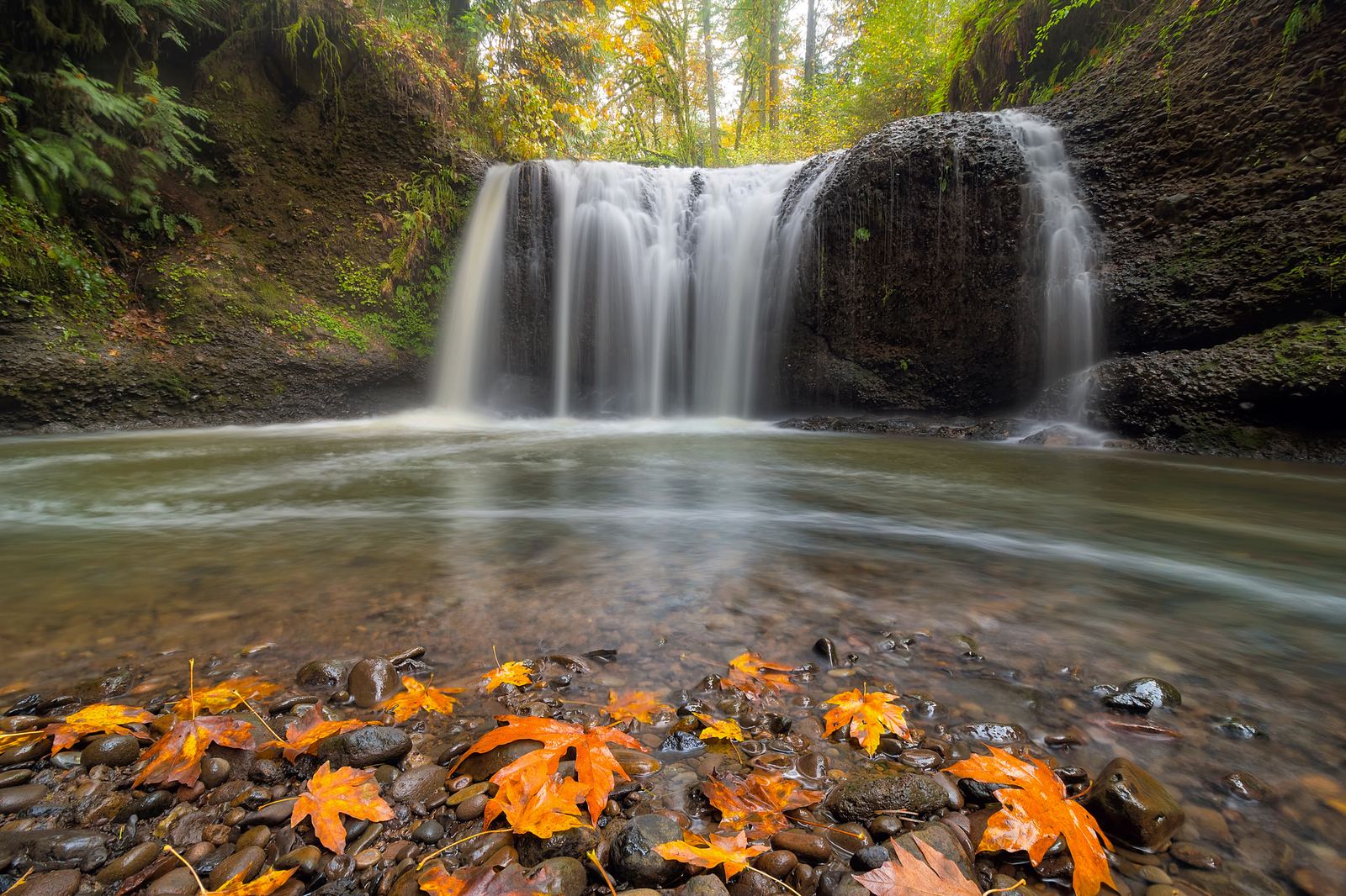 A forest waterfall near Happy Valley, Oregon in autumn